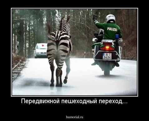 Передвижной пешеходный переход...