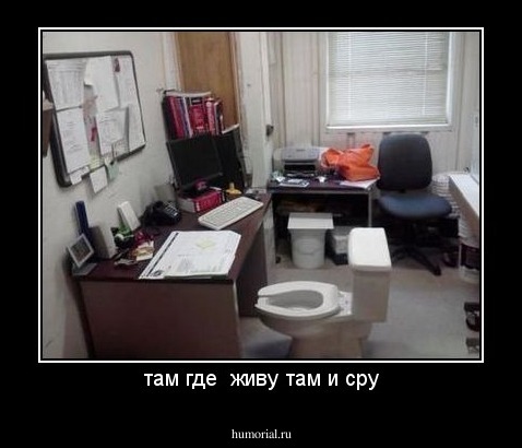 там где  живу там и сру