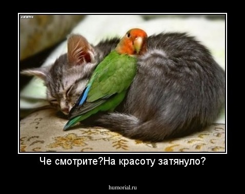 Че смотрите?На красоту затянуло?