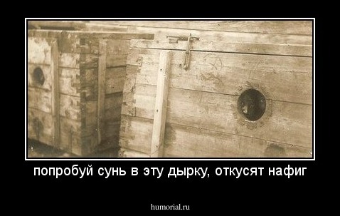 попробуй сунь в эту дырку, откусят нафиг