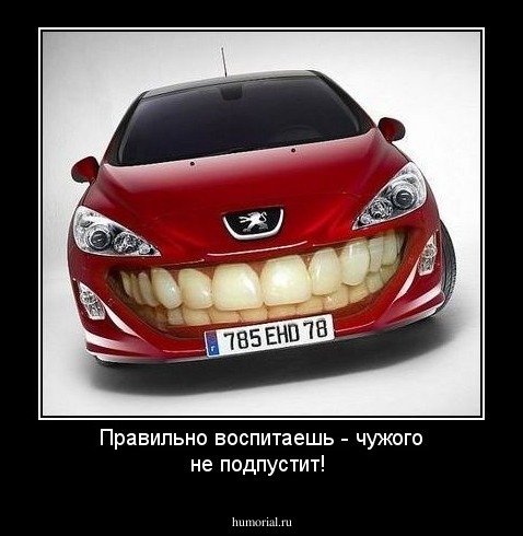 Правильно воспитаешь - чужого не подпустит!