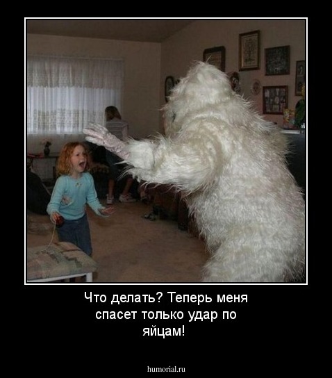 Что делать? Теперь меня спасет только удар по яйцам!