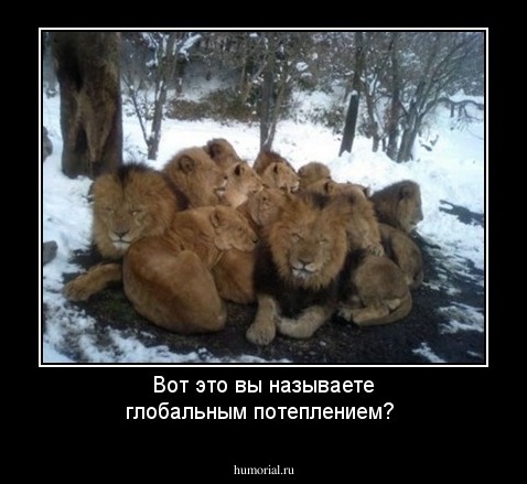 Вот это вы называете глобальным потеплением?