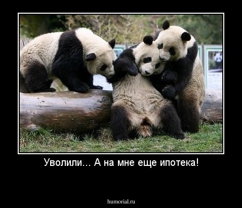 Уволили... А на мне еще ипотека!
