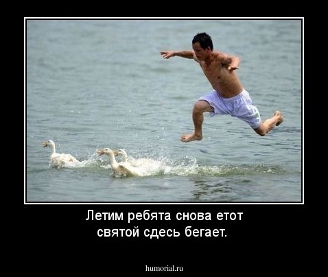 Летим ребята снова етот святой  сдесь бегает. 