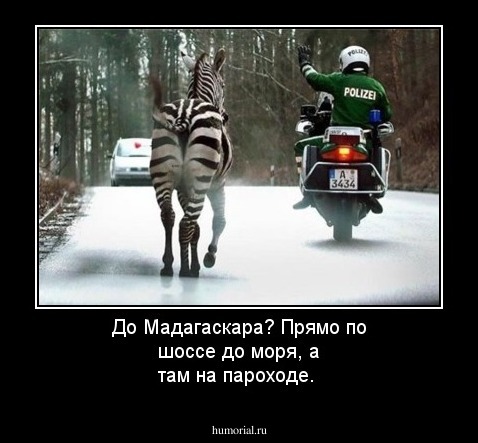 До Мадагаскара? Прямо по шоссе до моря, а там на пароходе.