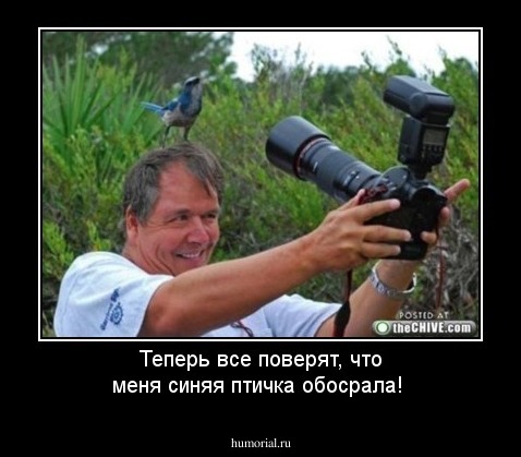 Теперь все поверят, что меня синяя птичка обосрала!