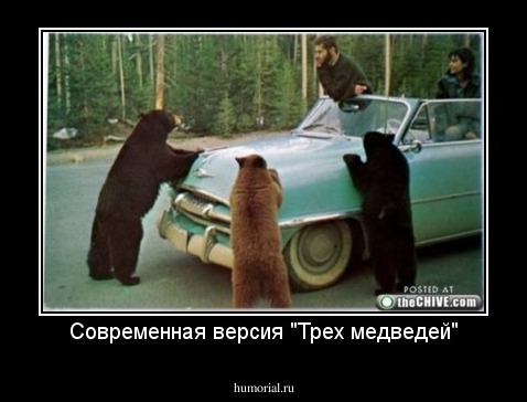 Современная версия "Трех медведей"
