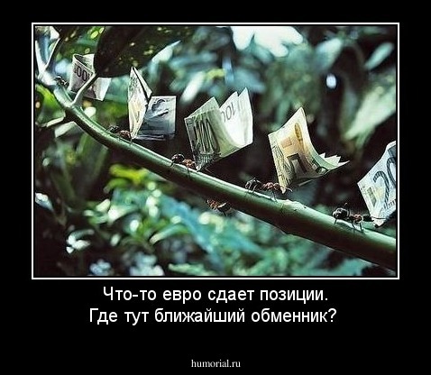 Что-то евро сдает позиции. Где тут ближайший обменник?