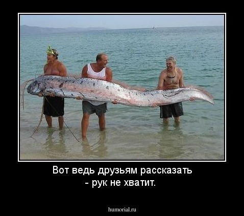 Вот ведь друзьям рассказать - рук не хватит.