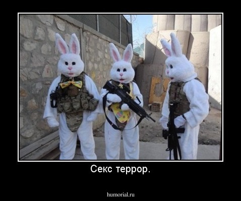 Секс террор.