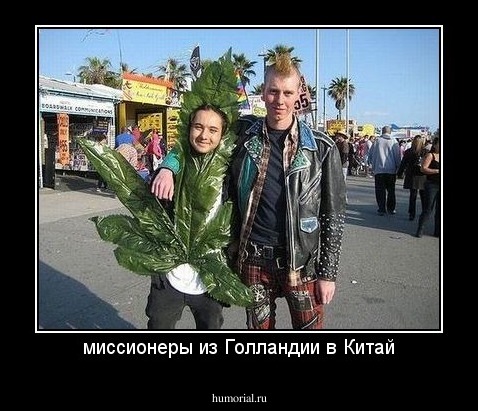 миссионеры из Голландии в Китай