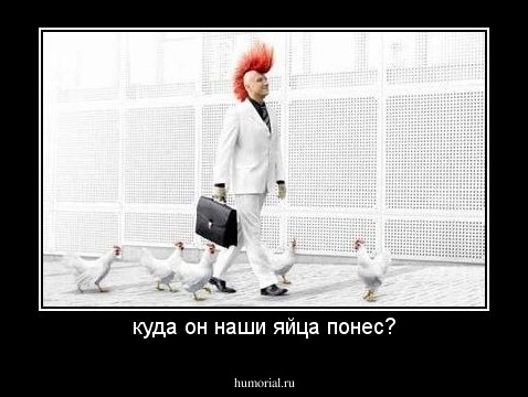 куда он наши яйца понес?