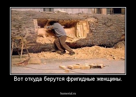 Вот откуда берутся фригидные женщины.