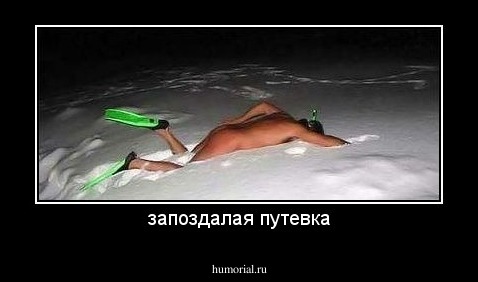 запоздалая путевка