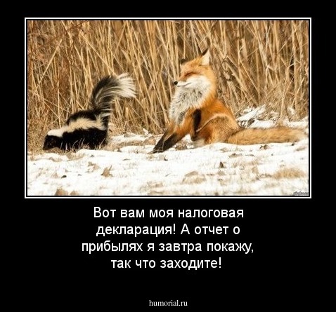 Вот вам моя налоговая декларация! А отчет о прибылях я завтра покажу, так что заходите!