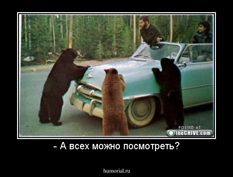 - А всех можно посмотреть?