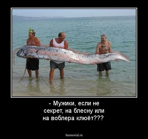 - Мужики, если не секрет, на блесну или на воблера клюёт???