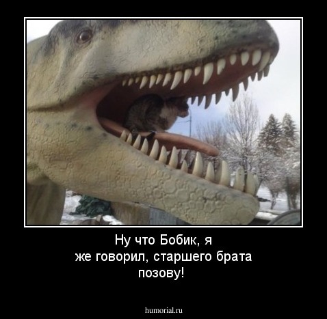 Ну что Бобик, я же говорил, старшего брата позову!