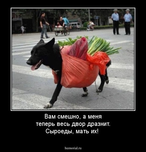 Вам смешно, а меня теперь весь двор дразнит. Сыроеды, мать их!