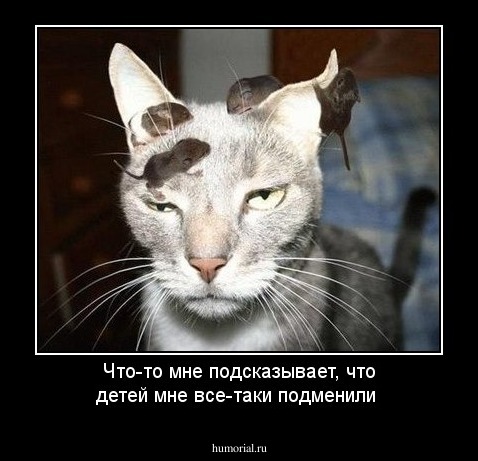 Что-то мне подсказывает, что детей мне все-таки подменили
