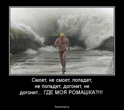 Смоет, не смоет, попадет, не попадет, догонит, не догонит... ГДЕ МОЯ РОМАШКА?!!!