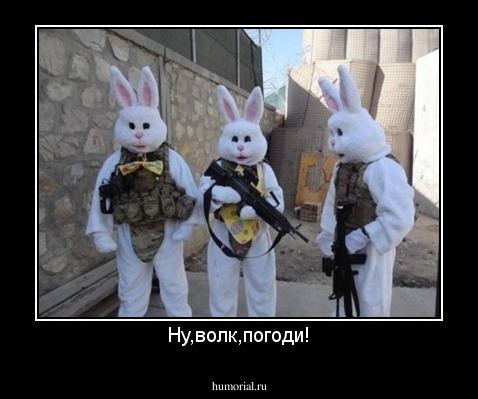 Ну,волк,погоди!