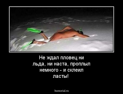 Не ждал пловец ни льда, ни наста, проплыл немного - и склеил ласты!