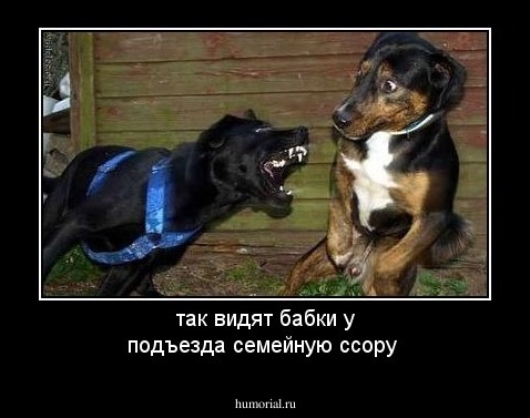 так видят бабки у подъезда семейную ссору