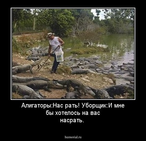 Алигаторы:Нас рать!
Уборщик:И мне бы хотелось на вас насрать.