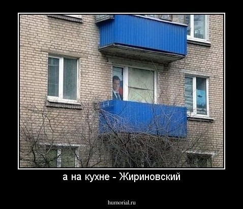 а на кухне - Жириновский