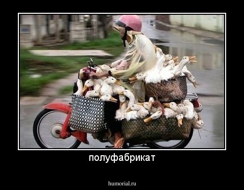 полуфабрикат