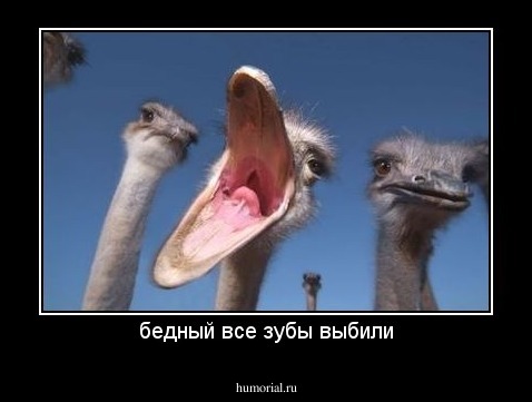 бедный все зубы выбили