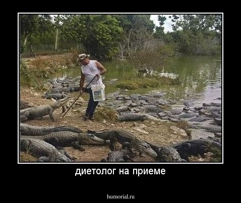 диетолог на приеме