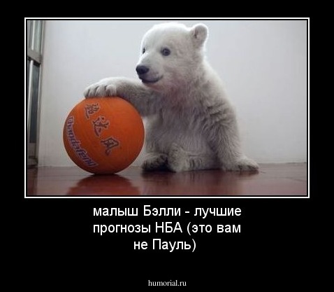 малыш Бэлли - лучшие прогнозы НБА (это вам не Пауль)