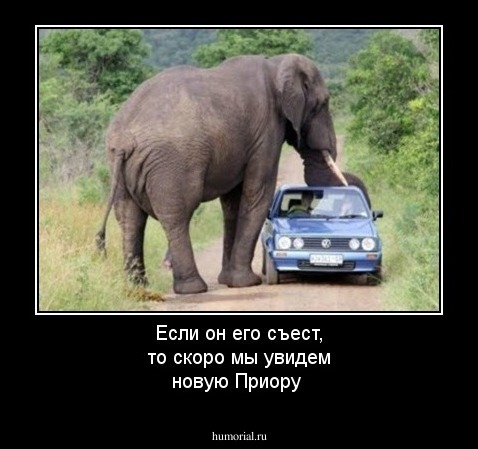 Если он его съест, то скоро мы увидем новую Приору