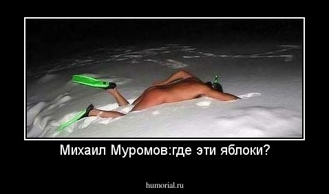 Михаил Муромов:где эти яблоки?