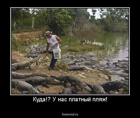 Куда!? У нас платный пляж!