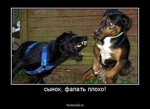 сынок, фапать плохо!