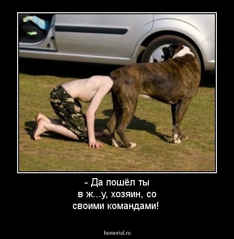 - Да пошёл ты в ж...у, хозяин, со своими командами!