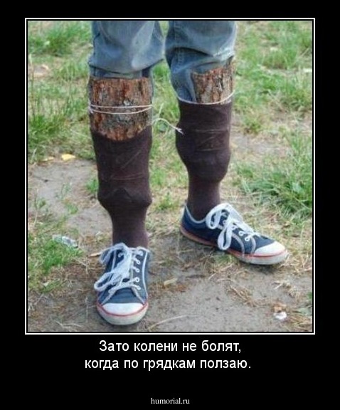 Зато колени не болят, когда по грядкам ползаю.