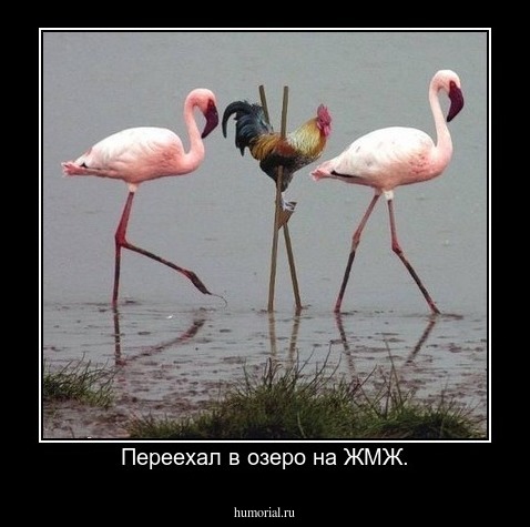 Переехал в озеро на ЖМЖ.