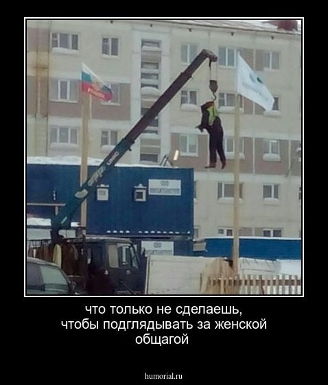 что только не сделаешь, чтобы подглядывать за женской общагой 