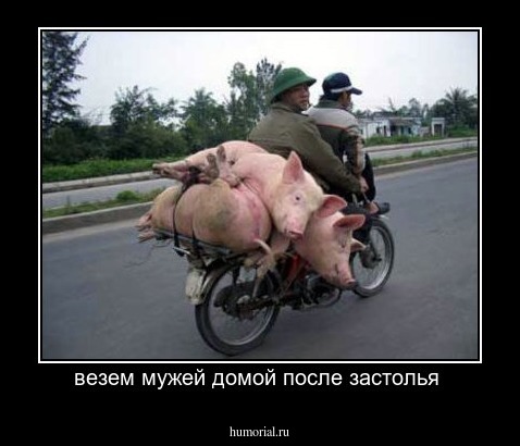 везем мужей домой после застолья 