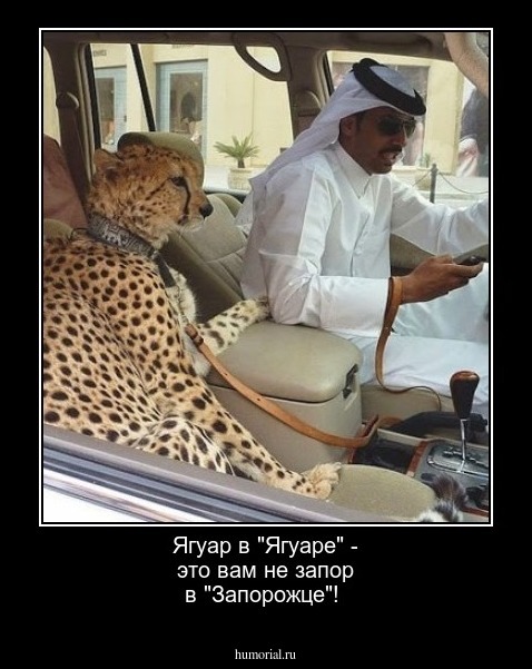  Ягуар в "Ягуаре" - это вам не запор в "Запорожце"!