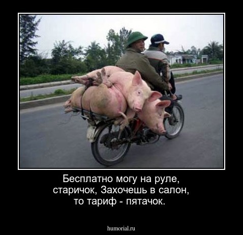Бесплатно могу на руле, старичок,
Захочешь в салон, то тариф - пятачок.