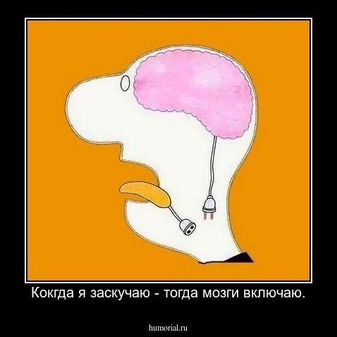 Кокгда я заскучаю - тогда мозги включаю.