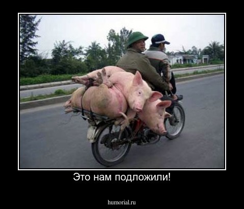 Это нам подложили!