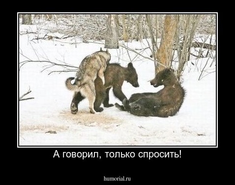 А говорил, только спросить!