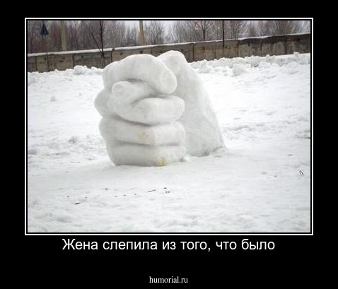 Жена слепила из того, что было